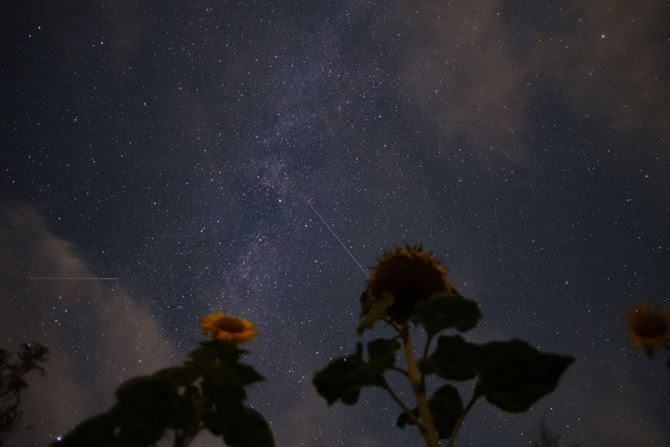 Sternschnuppen der Perseiden sind neben der Milchstraße am Nachthimmel zu sehen.