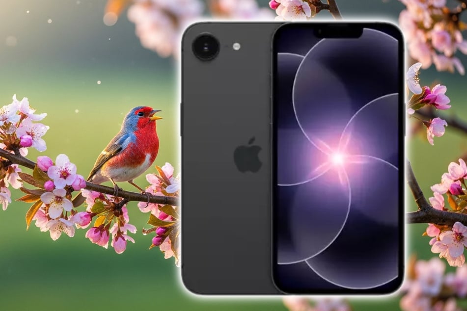 Das neue iPhone 17e stark reduziert zum Tiefpreis sichern