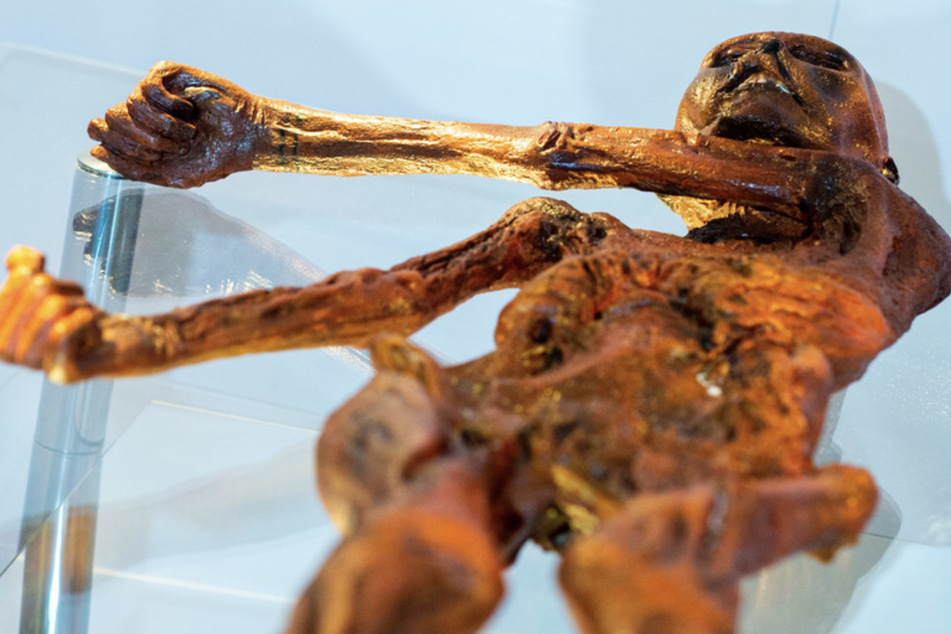 Ein Replikat des 1991 in den Ötztaler Alpen entdeckten Steinzeitmenschen "Ötzi" liegt im Museum für Naturkunde in der Ausstellung "Ötzi". Der Mann aus dem Eis in einer Nachbildung einer Kältekammer.