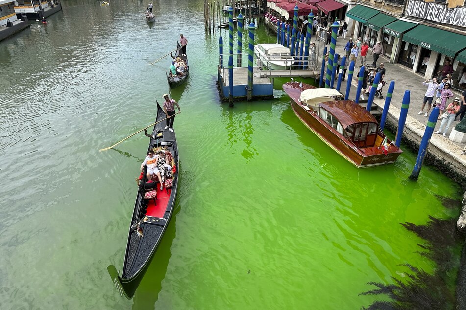 So grün sah der Abschnitt des Canal Grande in Venedig im Bereich der Rialtobrücke aus.