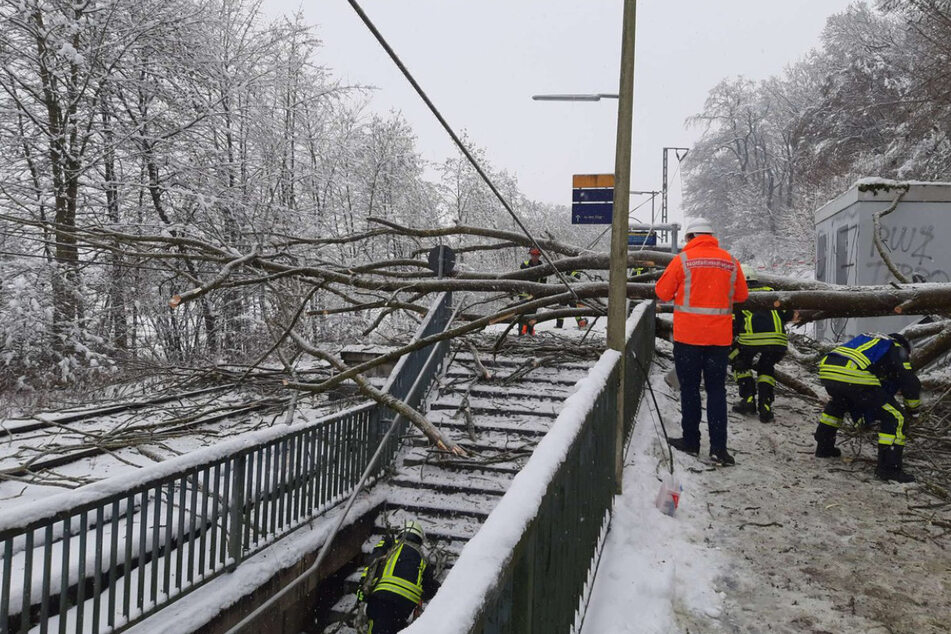 Durch einen umgestürzten Baum, der eine S-Bahn-Oberleitung mit sich riss, sind am Freitagvormittag zwei Menschen verletzt worden.