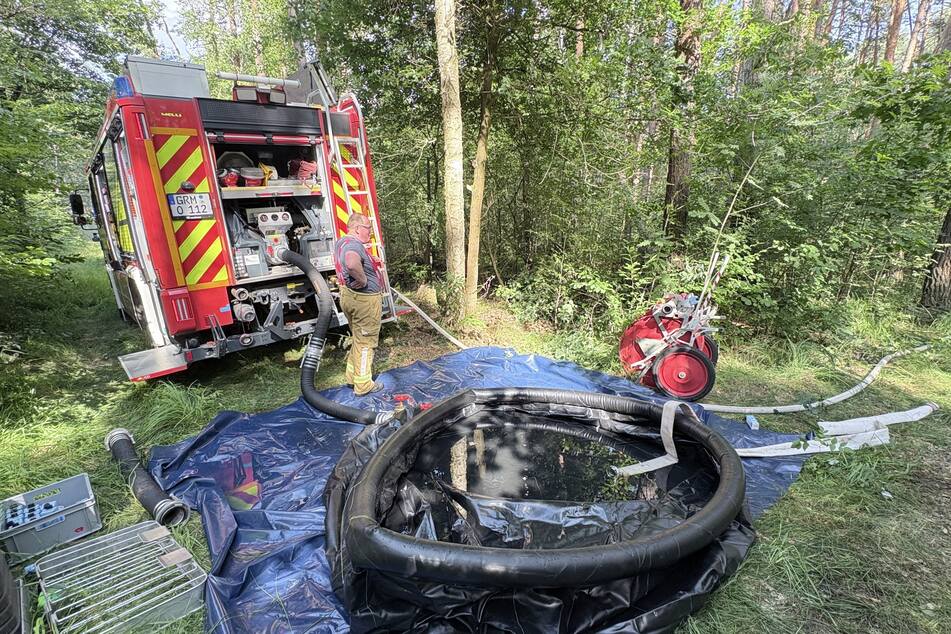 Nach und nach bahnte sich die Feuerwehr einen Weg durch den Forst.