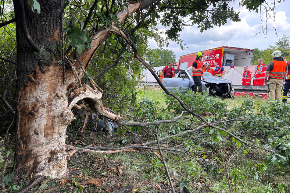 Das Fahrzeug geriet in einer Linkskurve von der Fahrbahn ab und kollidierte kurz darauf mit einem Baum.