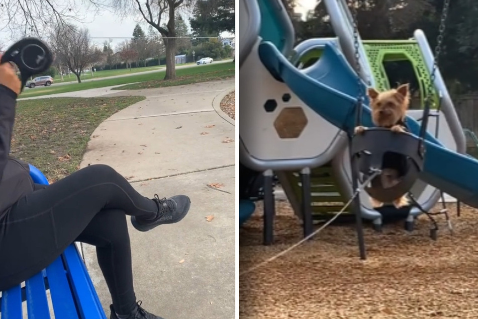 Dog loves to swing at the playground and TikTokers can't look away!