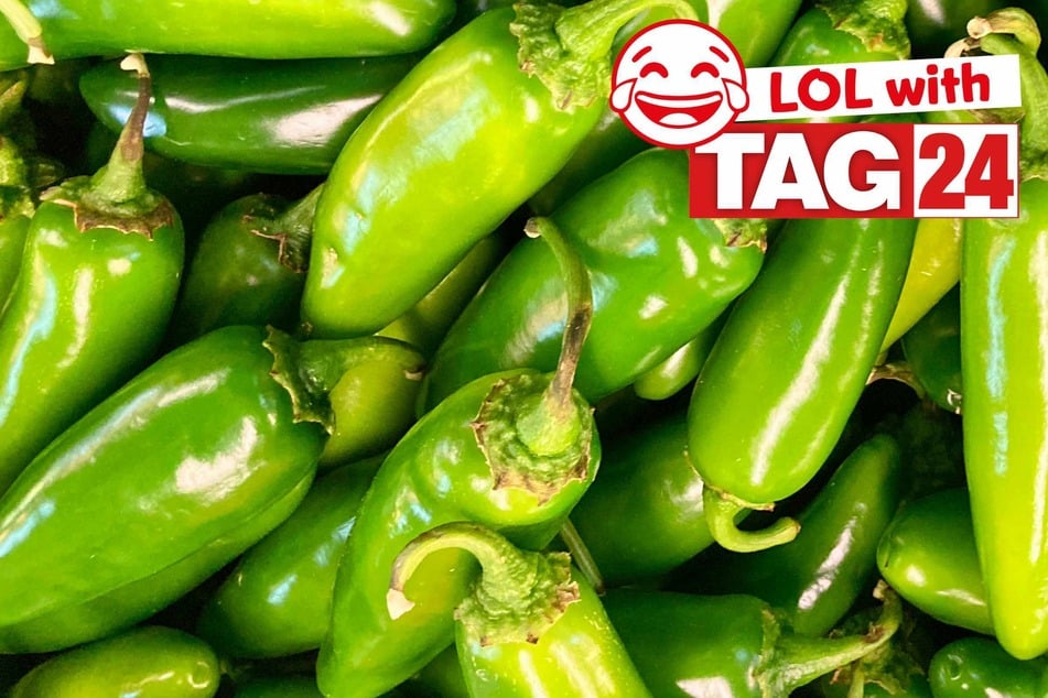 Joke of the Day for November 6, 2025: A spicy silly to make you smile.