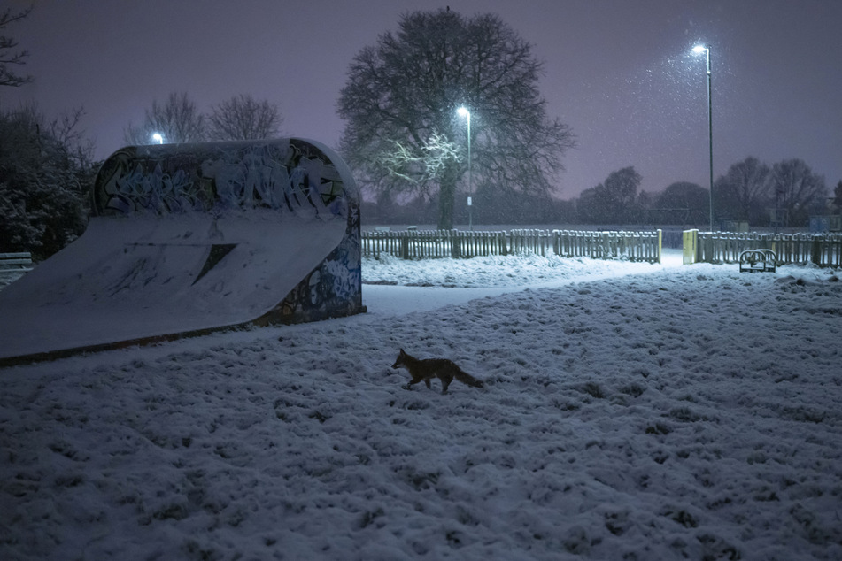 Eiseskälte und Schnee: In England sorgt der Wintereinbruch für Chaos.