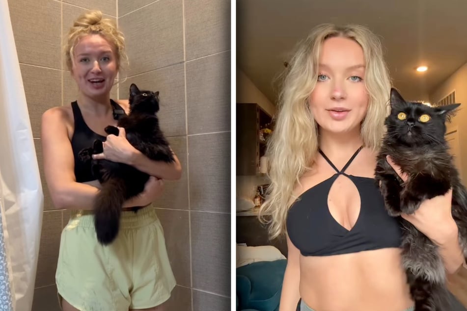 Frau geht mit Katze unter Dusche: Was dann passiert, amüsiert ein Millionenpublikum