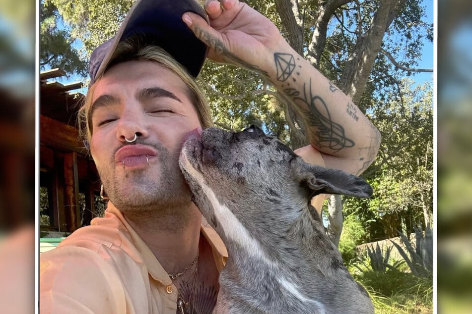 Bill Kaulitz (36) nesměl letět se svým psem.