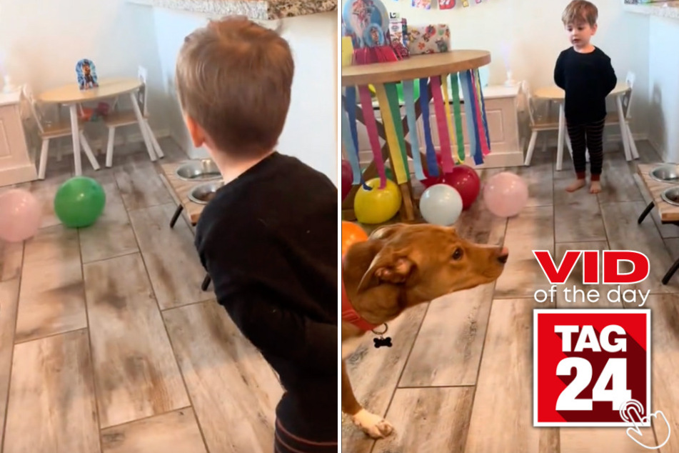Today's Viral Video of the Day features a little boy who's birthday surprise gave him and his family the funniest shock of their lives!