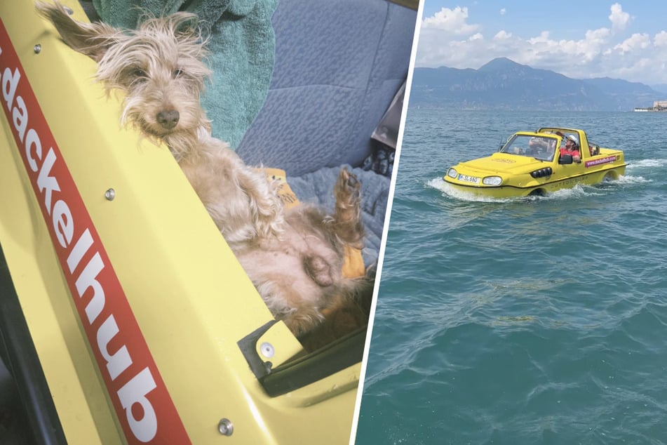 Dackel Rudi ist Erotikstar, Dödel Dani fährt Auto auf dem Wasser: Spezielles Duo mit kurioser Geschäftsidee