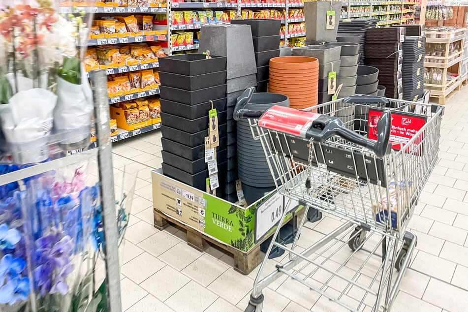 Wer beim Einkauf sparen will, sollte ab Donnerstag (3.7.) hier hin!