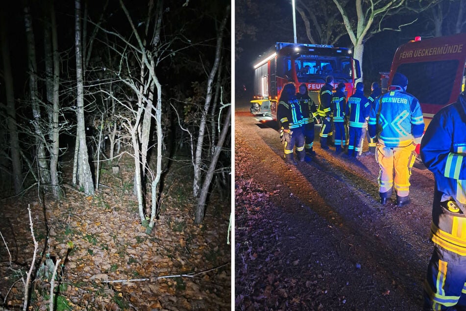 Die Feuerwehr musste ein düsteres Waldgebiet auf der Suche nach einer Frau durchkämmen.