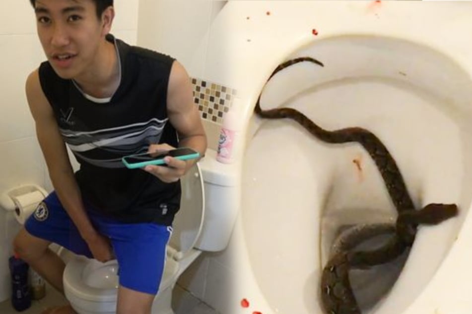 Siraphob Masukarat shares a picture of the snake that bit his penis. (montage)