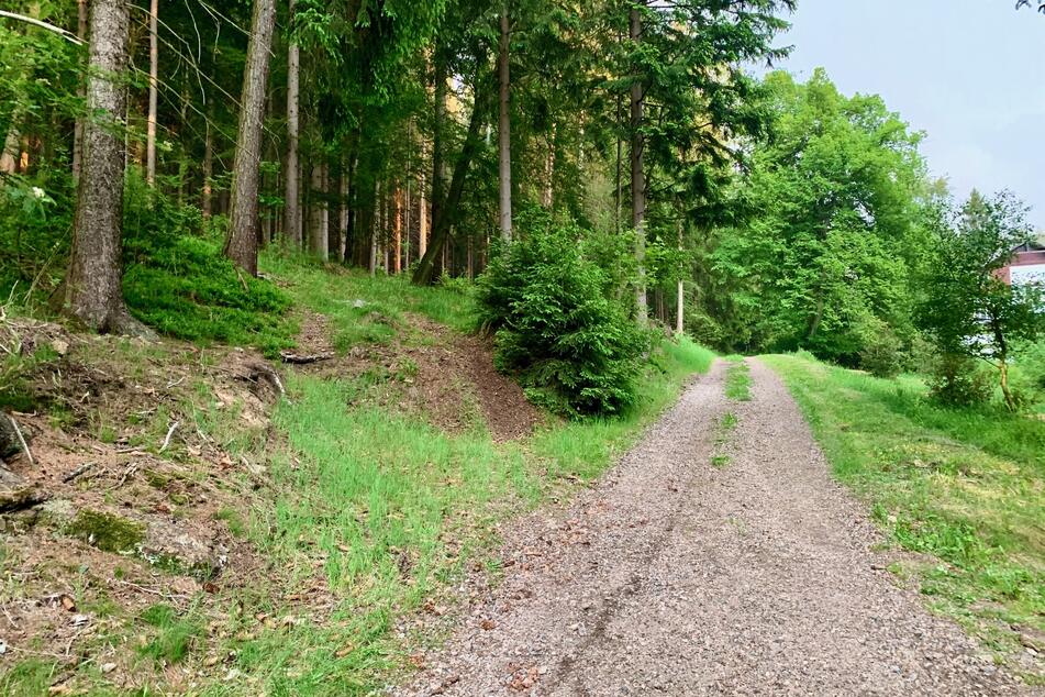 Bei dem toten Mann handelt es sich um einen 23-jährigen Polen.