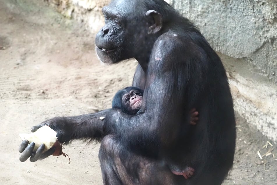 Mama Kisha (20) kümmert sich liebevoll um ihre Tochter.