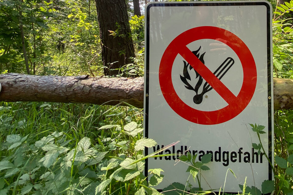 In mehreren Teilen Thüringens wurde die vierthöchste Gefahrenstufe ausgerufen. Insgesamt gibt es fünf. (Symbolbild)