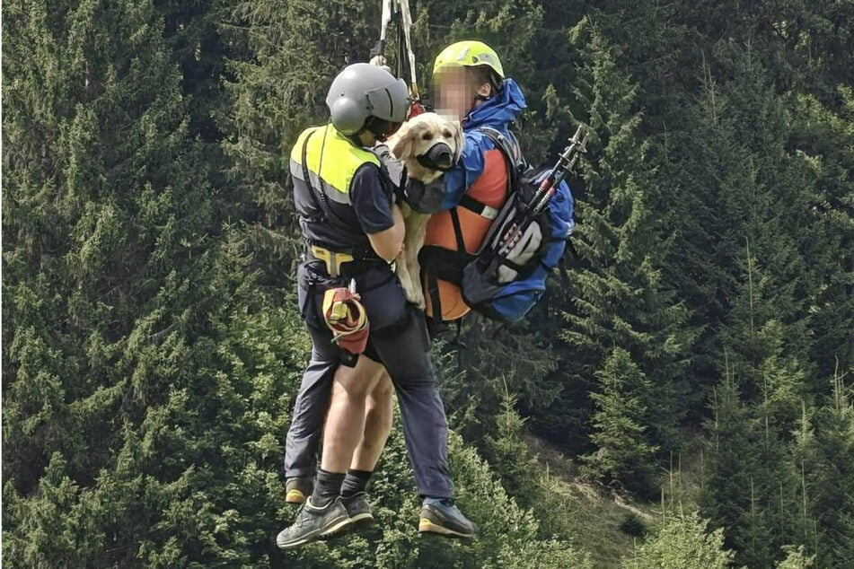 La perra gravemente herida de una pareja de turistas alemanes fue rescatada en helicóptero después de caer por un terreno escarpado en Mittelberg.