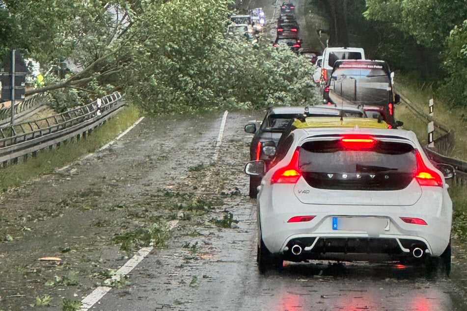 Im Berliner Stadtgebiet fuhr ein Auto gegen einen umgestürzten Baum.