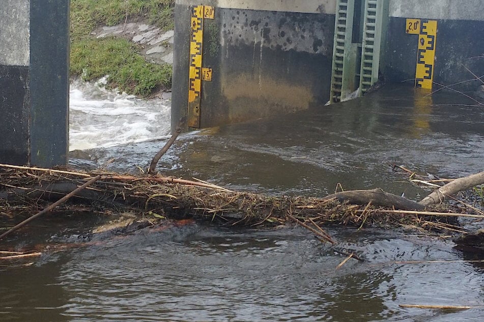 Hochwasser in Sachsen-Anhalt: Ohre überflutet erste Grundstücke!