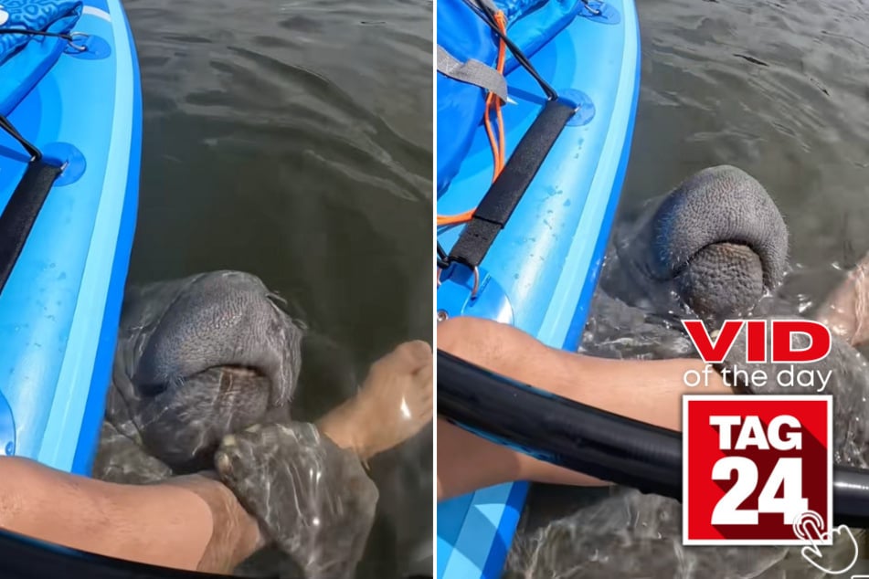 One Florida woman's peaceful kayaking adventure turned unforgettable when a massive manatee swam up and gave her an adorable hug!