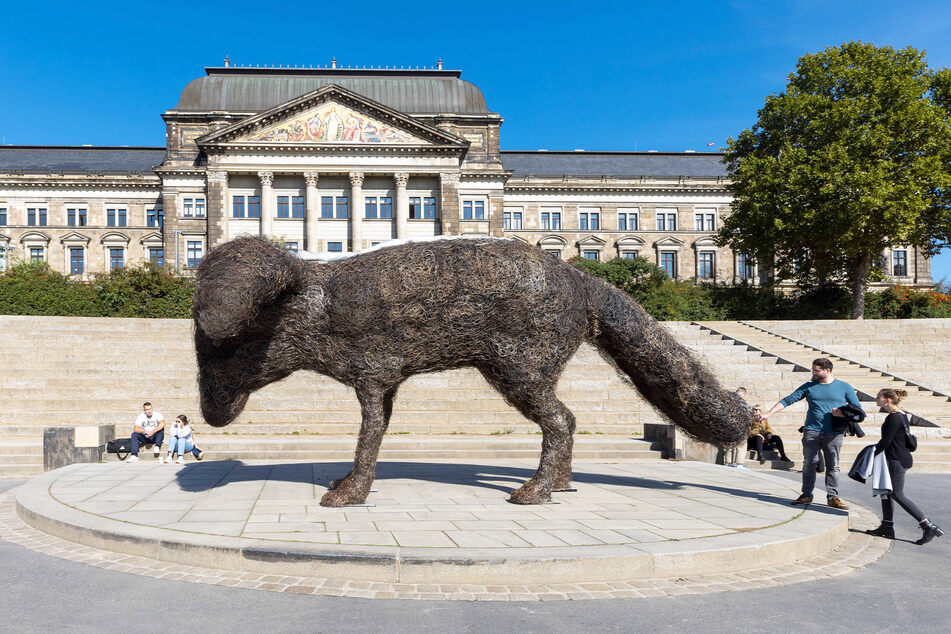 Mehr als ein halbes Jahr gehörte der Draht-Hund zur Dresdner Stadtkulisse. Jetzt ist er weg.