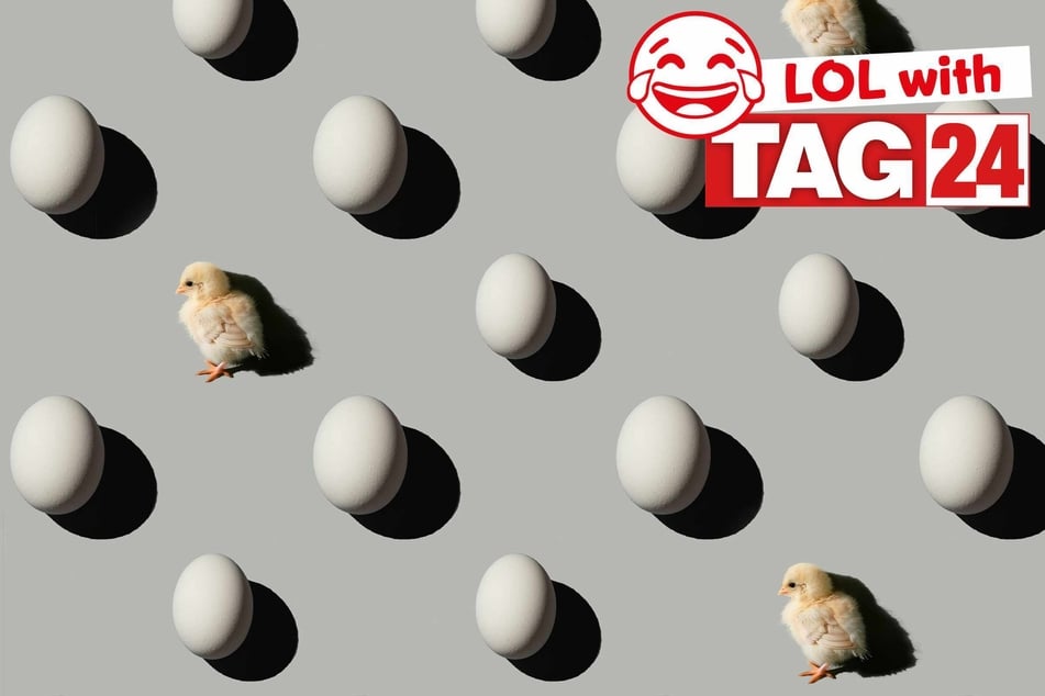 Joke of the Day for March 20, 2026: An egg-cellent funny!