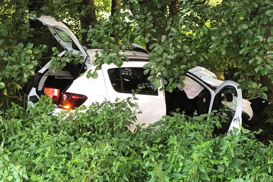 Der Dacia ist nach dem Frontal-Crash mit einem Baum im Gebüsch zum Stehen gekommen.