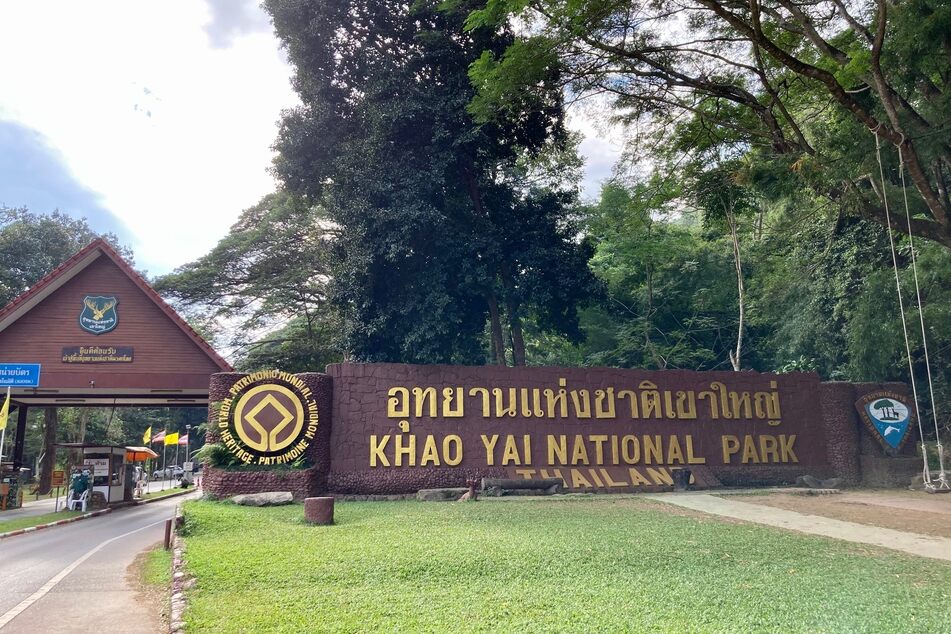 Die thailändischen Behörden haben einen berühmten Wasserfall im Nationalpark Khao Yai geschlossen, nachdem dort zwei Elefanten in den Tod gestürzt sind.