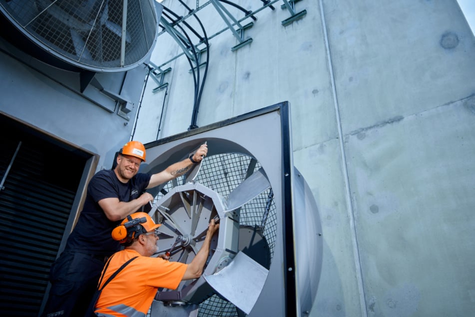 Bei 50Hertz wartet ein starkes Team, offene Kommunikation und gegenseitige Unterstützung auf Dich.