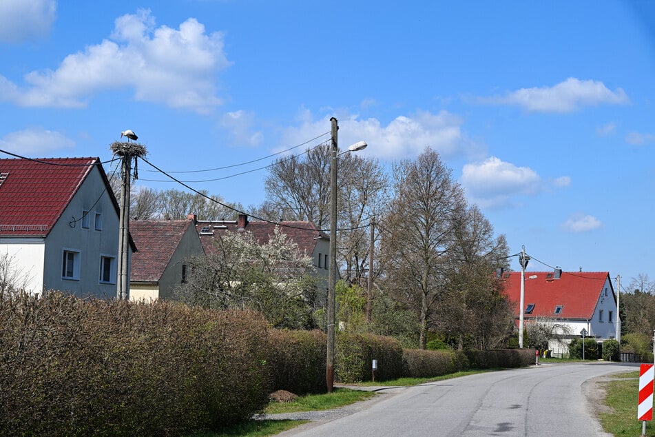 Nun hat der Storch wieder einen Strommasten an der Mühlstraße als Nistplatz besetzt.