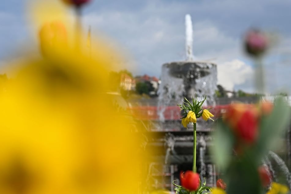 Am Wochenende wird es in Stuttgart wieder sommerlicher.