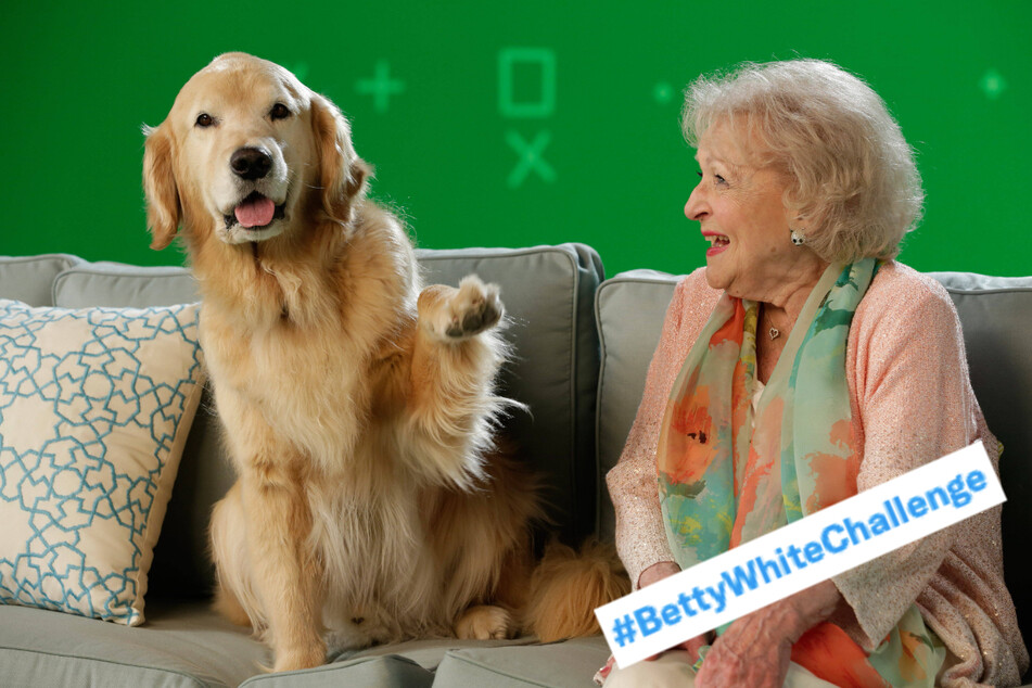 #BettyWhiteChallenge gives to furry friends on Betty's 100th birthday