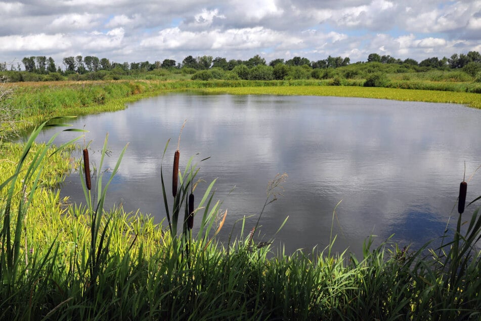 Das Grenztalmoor, in dem sich ein 81-Jähriger verirrt hatte, ist übersät mit Wasserlöchern und kleineren Seen. (Archivfoto)