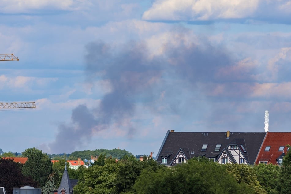 In Jesewitz brannte ein Feld. Die Rauchwolke war schon von weitem zu erkennen.