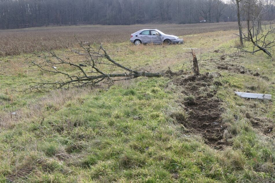 Auch einem Baum am Straßenrand wurde übel mitgespielt.