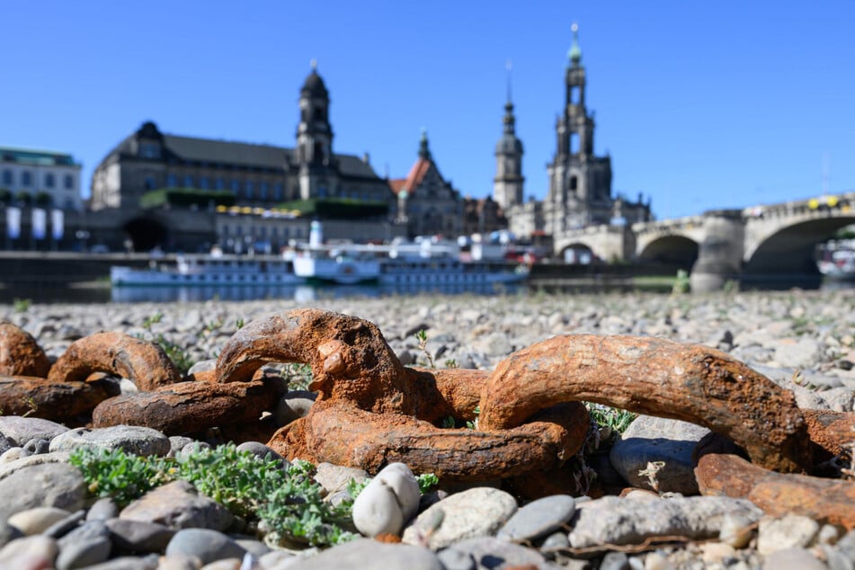 Der Pegelstand der Elbe kratzt bereits an der 40-Zentimeter-Marke.