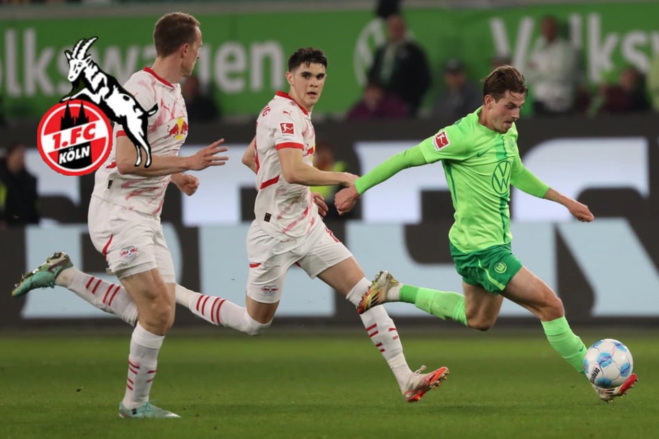 1. FC Köln leiht polnischen Nationalspieler von Wolfsburg aus