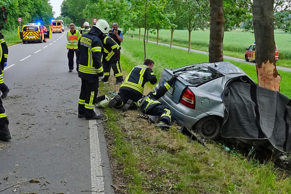 500-prozentiger Rückgang seit 1995: So wenige Menschen sterben in Sachsen bei Baum-Crashs