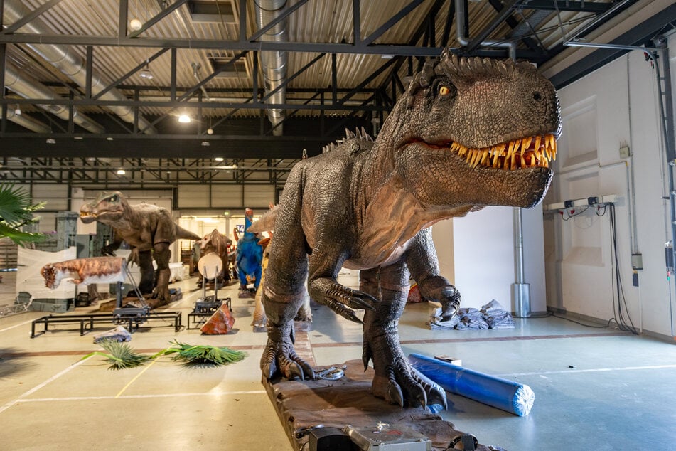 Neben den brüllenden Urzeitechsen gibt es auch eine Vulkanausgrabungsstätte sowie Dino-Reiten.