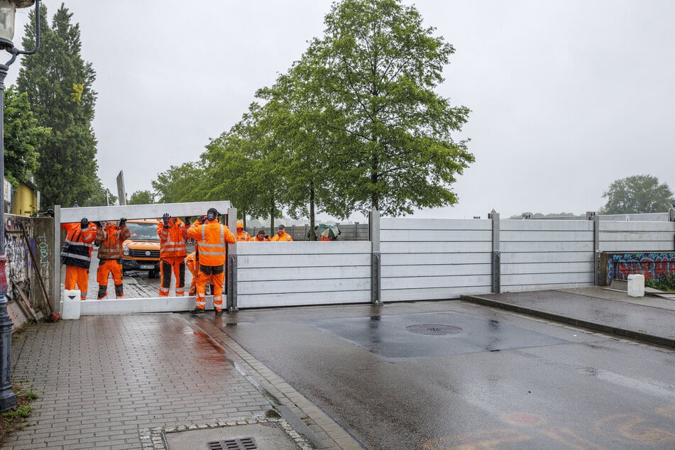 Dieser 1,85 Meter hohe Wasserschutzwall soll in Pieschen mögliche Fluten abhalten.