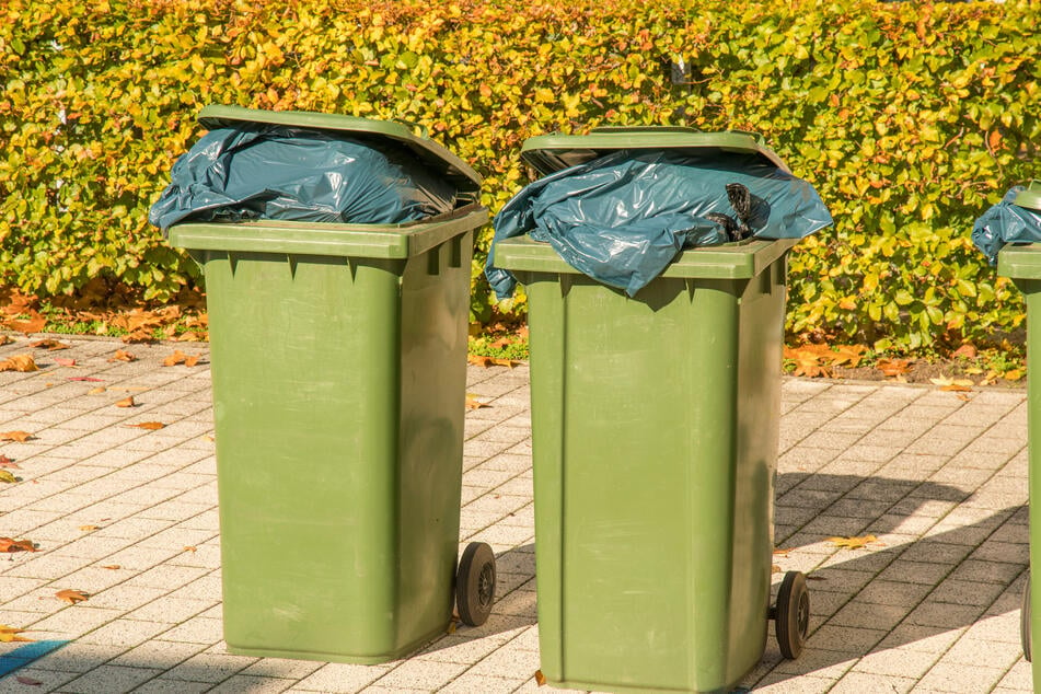 Weil ihm nicht passte, wo sein Nachbar seinen Müll entsorgte, muss ein Rentner (77) jetzt um seine Existenz fürchten. (Symbolbild)