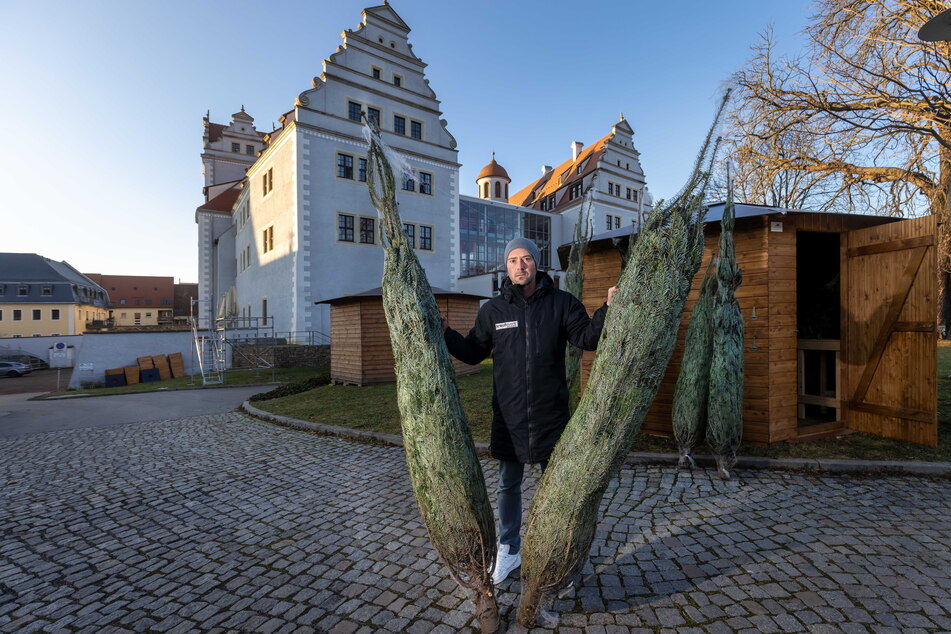 Zwickauer Schlossweihnacht verkauft geschmückte Bäume