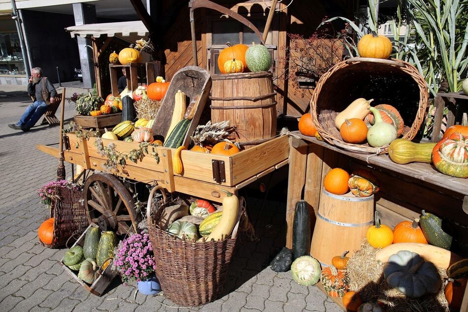 Ganz im Zeichen des Herbstes: Die Markttage haben nicht nur Kürbisse zu bieten.