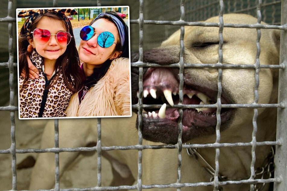 Mädchen (†7) von Pitbull zerfleischt: Hunde-Besitzer angeklagt