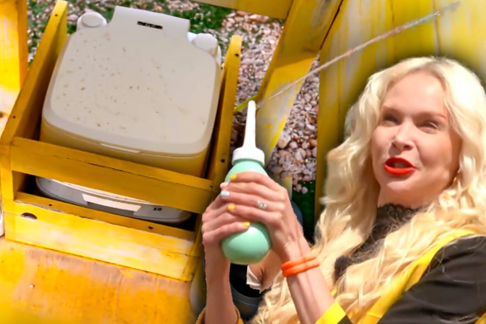 Kein Klopapier, nur Analdusche: Reality-Stars wollen "nicht kacken, bis ich explodiere"