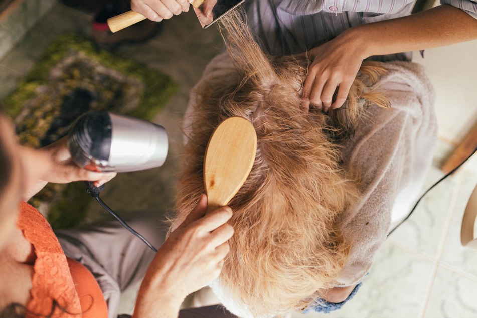 Keeping your pooch's coat groomed properly in winter is essential.