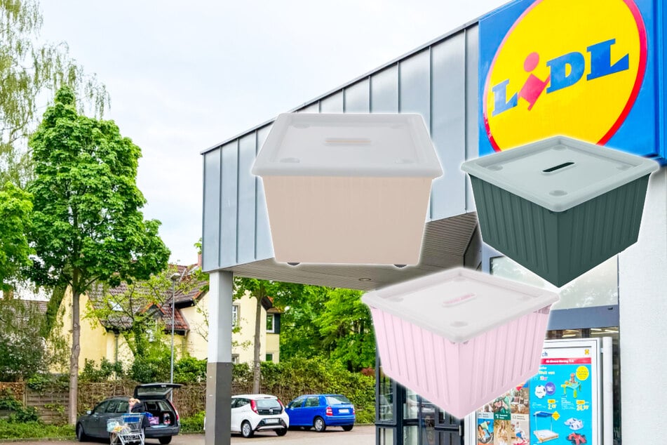 Mit diesen Lidl-Angeboten bleibt Ihr immer gut organisiert