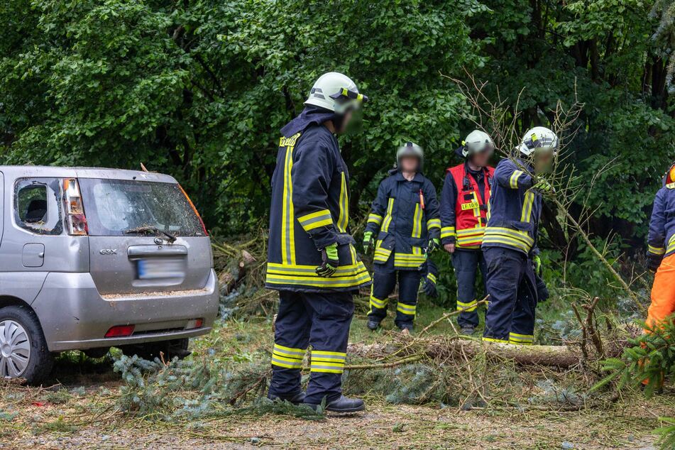 Auch ein zweites Auto wurde durch den umgefallenen Baum beschädigt. Einsatzkräfte der Feuerwehr befreiten die Fahrzeuge von Baumstämmen und Ästen.