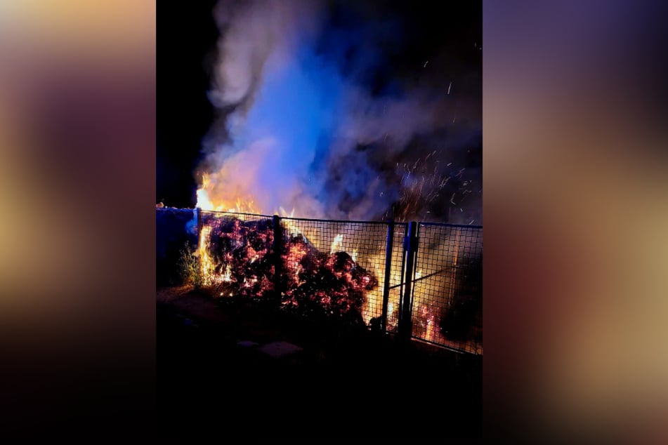 Die Flammen verursachten einen Sachschaden in Höhe von rund 1000 Euro.