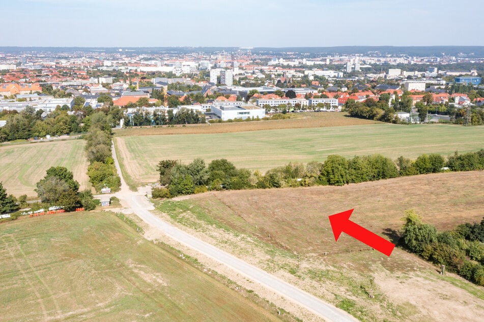 Mit bester Aussicht auf die Stadt: Das Rathaus plant, das berühmte Café an diesem Hang im Südpark zum Besuchermagneten zu machen.